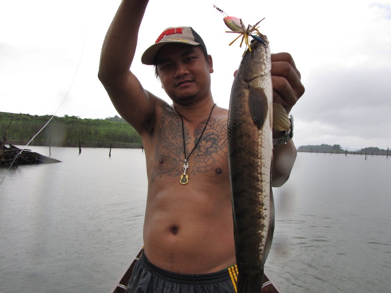 [q][i]อ้างถึง: F24 posted: 04-06-2555, 00:38:45[/i]

 :cheer: :cheer: :cheer: :cheer:
Fishn2gthr4