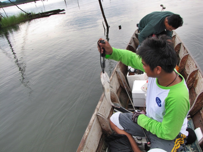 [q][i]อ้างถึง: TheBoatClub posted: 04-06-2555, 14:24:15[/i]

 :love: :love: :love:[/q]
สวัสดีคับน