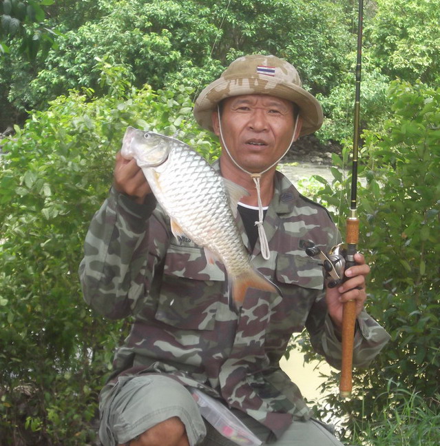 อีกตัวครับ ขึ้นมาให้เด็กถ่ายให้ ตัวกำลังสวย :cheer: