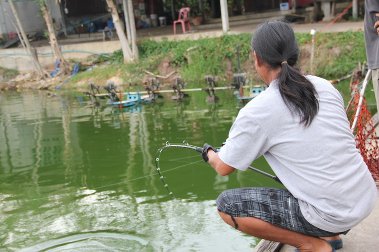 มาดูน้าโหน่งต่อเลย่นั้งงัดเข้าไป  ขึ้นมาๆๆ
 :mad: :mad: :mad: