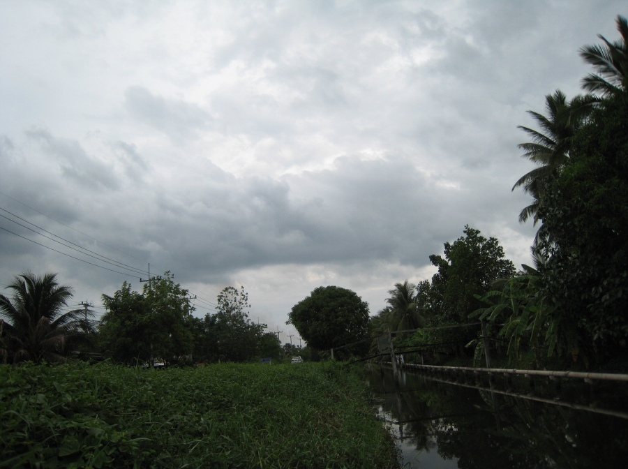 ...เมื่อหน้าฝนมา...กับปลาช่อนตามคลอง...