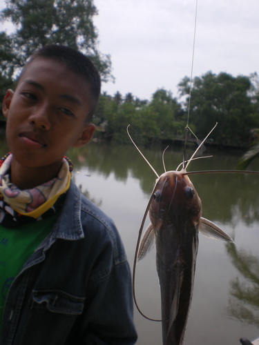 ok รูปสุดท้ายดีๆสำหรับปลาแขยงตัวนี้ 5 5..  :laughing: :laughing: