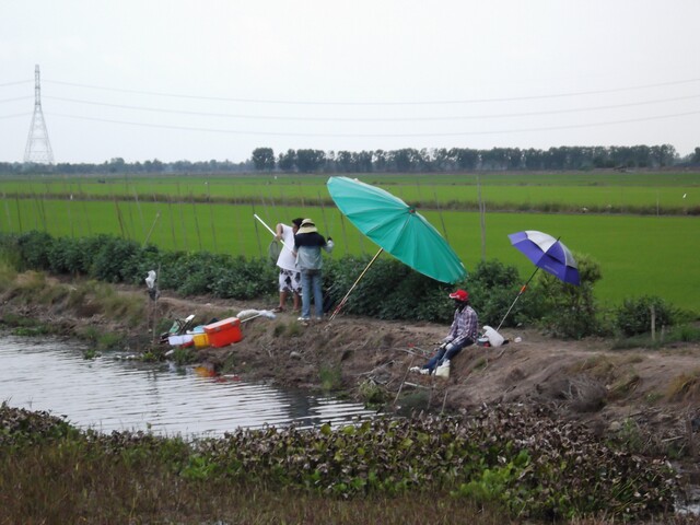              น้าๆมือหลิวคร๊าบบบบ..ฝนจะมาแล้วน๊า..ฉามเป็นห่วงอ่ะก๊าบบบบ... :grin: :grin: :grin: