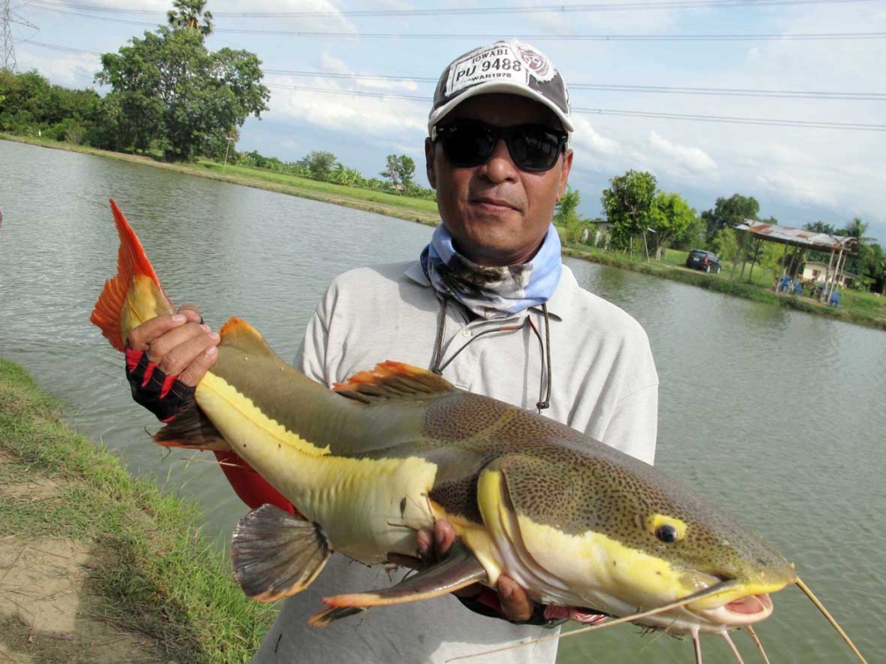 
[center][b]ขอบคุณทุกท่านที่ติดตามชม ผมอ่านทุกความเห็นนะครับ ทักทายรวมเลยไม่ว่ากันนะครับ 

ที่สำค