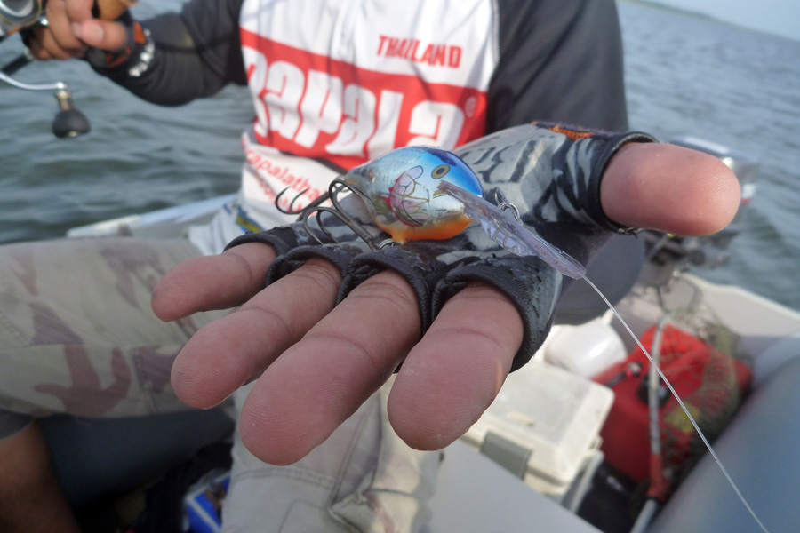 เป็นที่มาของภาพเปิด กระสุนพิฆาต Rapala Risto Rap  :cool: :cool: :cool: :cool: :cool: