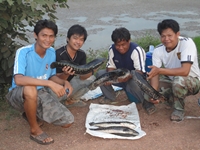 ทดลองส่งคับ  กับชะโด วันหยุด