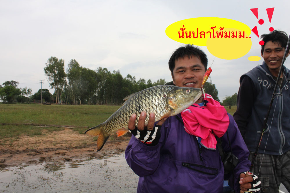 [q][i]อ้างถึง: jamestakumi47 posted: 05-06-2555, 12:15:31[/i]

 :cheer: :cheer: :cheer: :cheer: :c