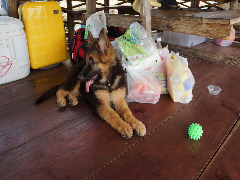 ผู้ติดตามครับ :smile: :smile: :smile: