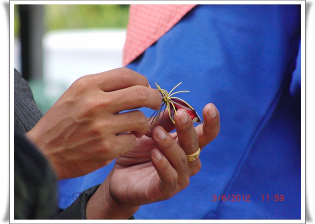 [b]เหยื่อหมานในมือใครหน้อ[/b]
 :cheer: :cheer: :cheer: