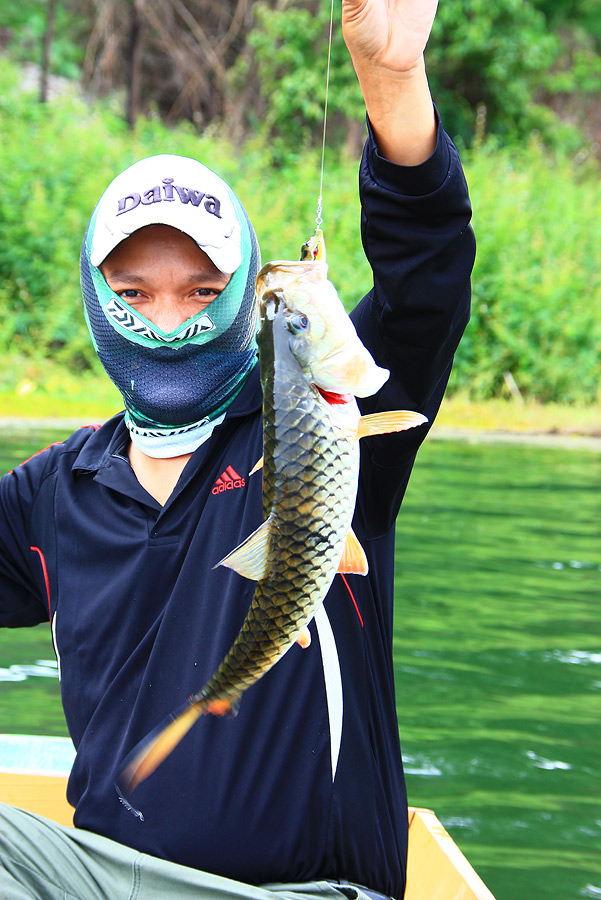จัดหั้ยอีกใบ กระสูบชัดกบยาง  :grin: :grin: :grin:
