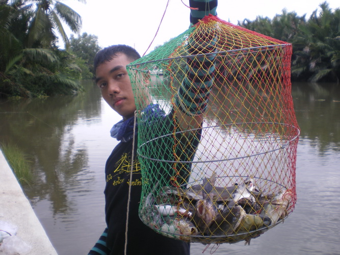 อืม เอาผ้าบัฟออกดีกว่า  :cool: :cool: