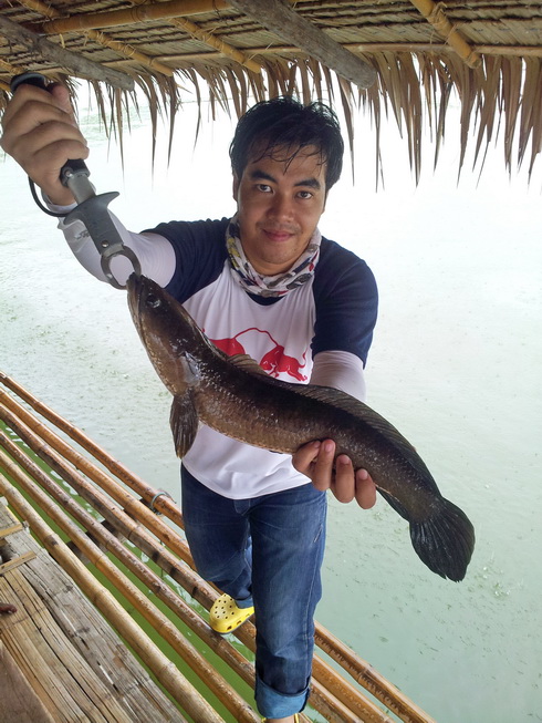 สุดท้ายตบด้วยน้องช่อนละกัน :laughing: :laughing: :laughing:
