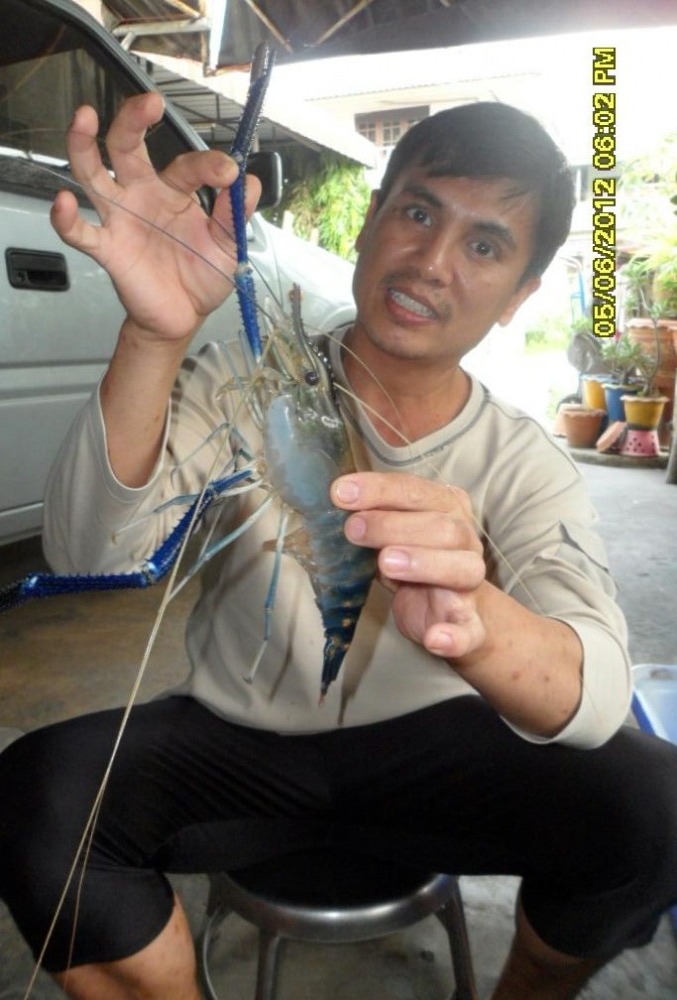 ถึงบ้านนอนตืนแล้ว.   เริ่มตัดสิน