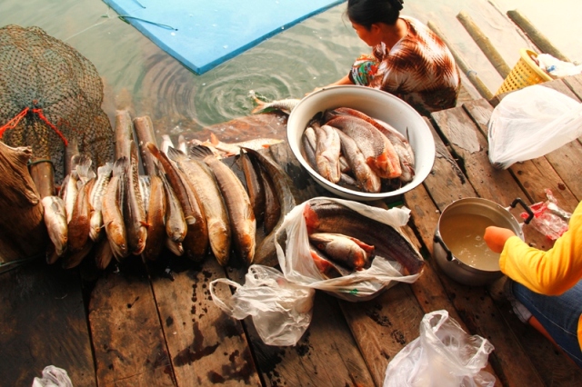 ไม่ออกทริป แต่ต้องมานั่งทำปลาแทน  :grin: