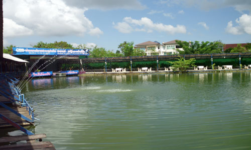 บ่อตกปลา Skypark ที่หาดใหญ่