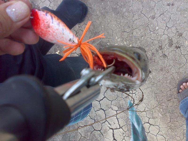 ยังงี้อยู่ชัว :laughing: :laughing: :laughing:
