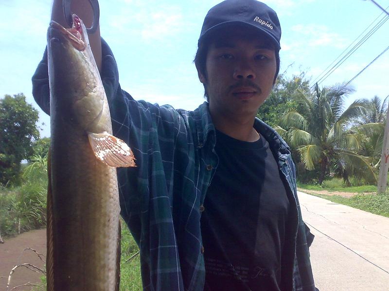 น้องชาย ผมโดนก่อน หมายนี้ ดูดหายไปเลย :grin: :grin: