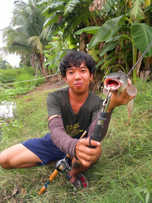 ถือว่าเหยื่อที่ผมทำเองผ่านครับ ได้มา 3 ตัวด้วยกัน  :grin: :grin: :grin: :grin: :grin: