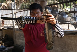 แน่นมากคับ
