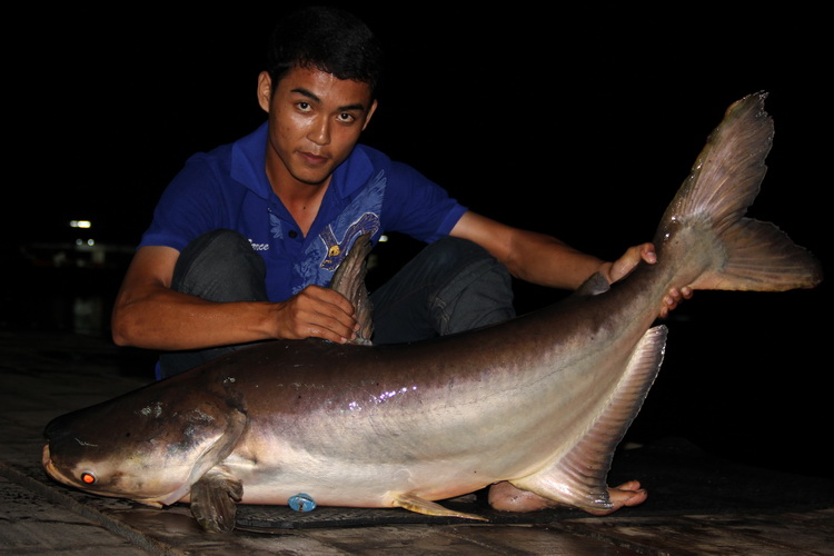 ตัวใหญ่ด้วยครับ.. :grin: :grin: :grin: