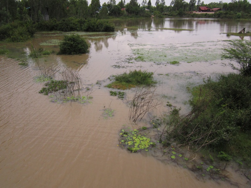  :cheer:ฝนมาเร็วปีนี้น้ำเอ่อล้นลำห้วยไปเยอะทีเดียว  :cheer: