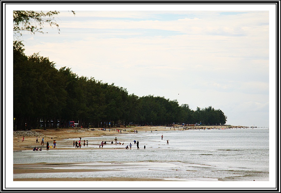 [b]หาดชลาทัศน์ [/b]เป็นชายหาดที่ยาวต่อเนื่องมาจากหาดสมิหลาโดยมีแหลมสมิหลาเป็นจุดแบ่ง 

จึงมีความคล