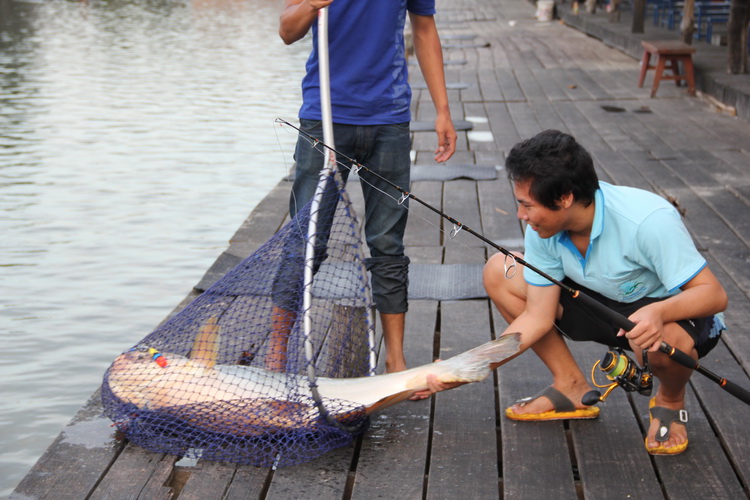 มานี้มาถ่ายรูปสะดีๆ :grin: :grin: :grin:
