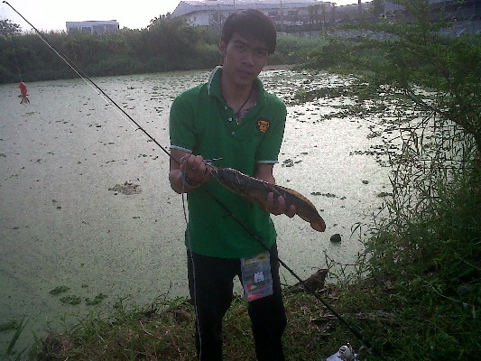 ผมงานรวมๆ ครึ่งปีนะ