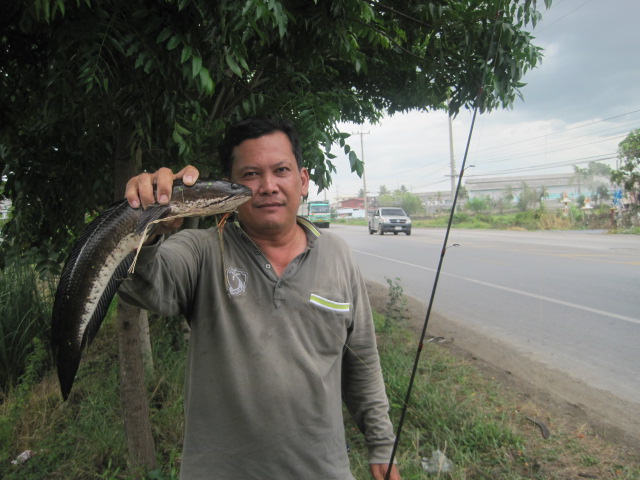 เอาปลาลงหน่อยมันบังตา :laughing: :laughing: :laughing: