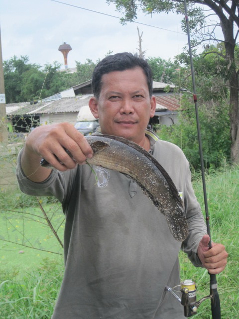 เผลอแพรบเดียวจั่วมาอีกตัว