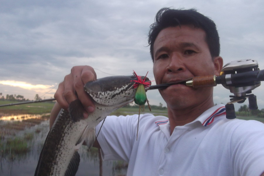 อีกภาพ ตัวงามๆ :grin: