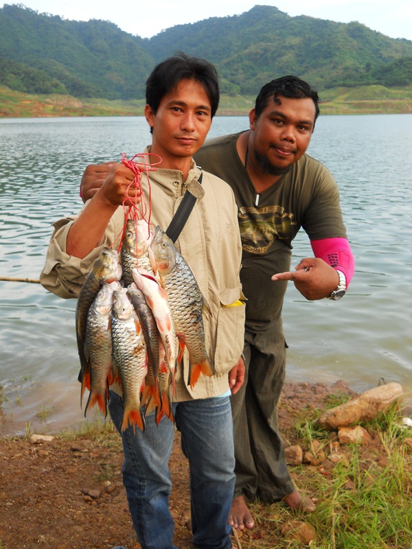 ปลาพี่ยุท