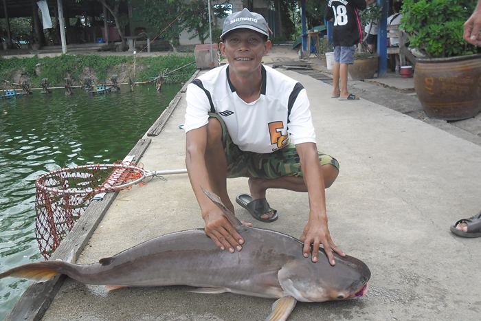 อะเกน  พรีสสสส :laughing: :laughing: :laughing:
