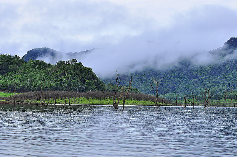 อากาศตอนเช้าที่นี้  ดีจัง   วิวสวย   หลังจากเมื่อคืนฝนตก   น้ำขึ้นเป็นศอก ครับ  :grin: