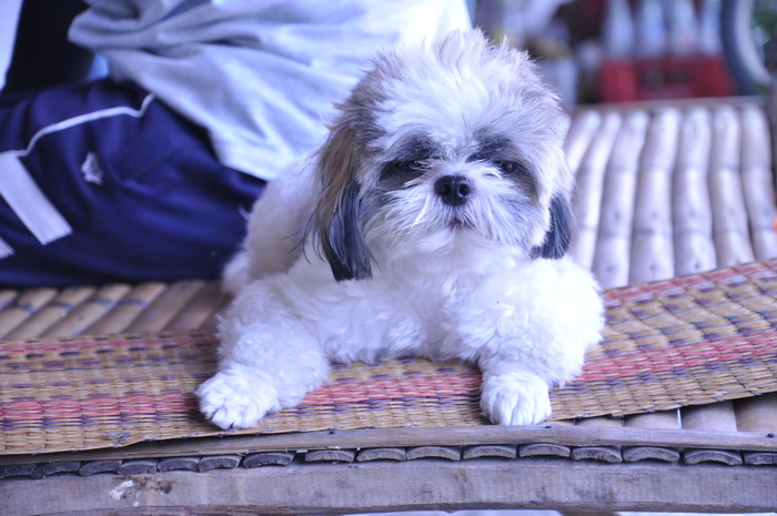 ขั้นเวลาหน่อยลูกสาวผม