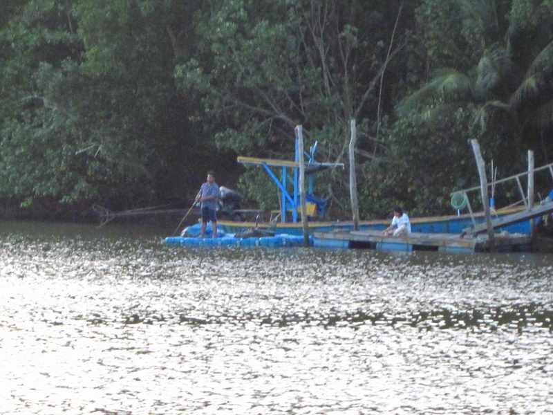 


มีน้า ๆ มาหวดกันอยู่ที่สะพานจอดเรือ.........หวดไม่หยุดเหมือนกัน.......55+++