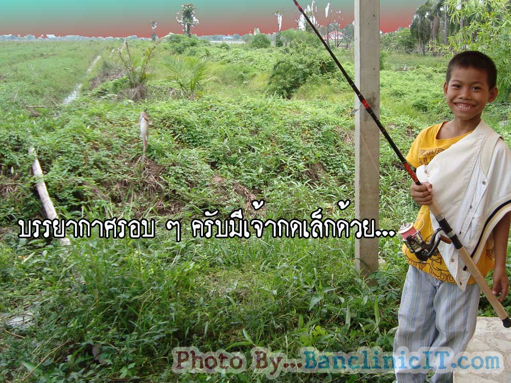 มีเจ้ากดเล็กด้วยครับ เจ้าตัวเล็กตกได้ครับ (ใช้ใส้เดือนครับ)