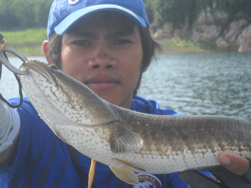 อีกหนึ่งตัว :grin: :grin: :grin: