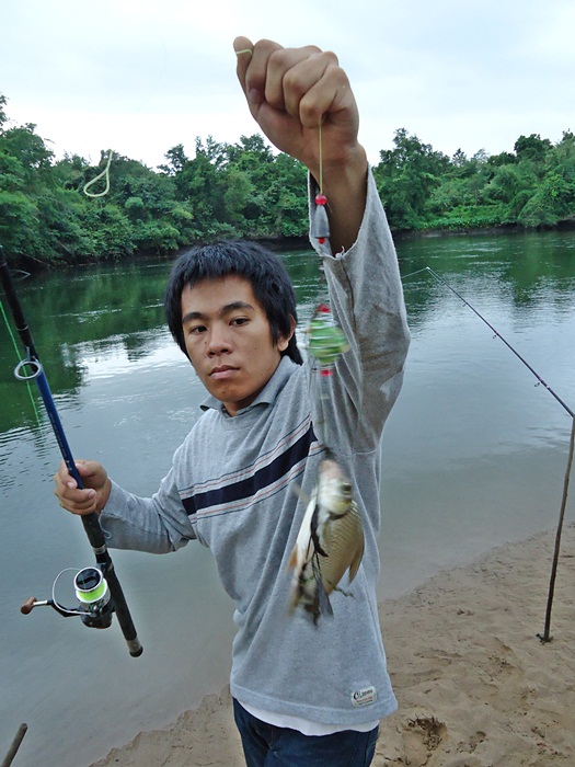 ได้กะมัง..เพื่อมาอีกใบ  :laughing: :laughing: :laughing: