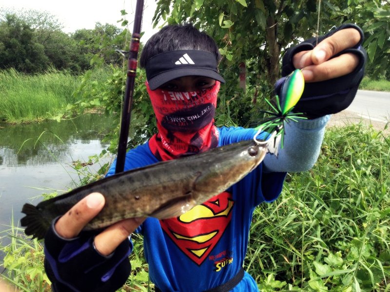 หมายต่อไปได้มาิอิก 1


[q][i]อ้างถึง: wanna2940 posted: 13-06-2555, 23:39:33[/i]

++++++1      