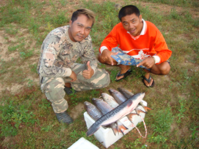 เป็นอีกทริปนึงที่ประทับใจกับการบริการของไต๋ เพราะไต๋ต้อมพาไปตีปลาทุกชนิดที่มี มีทั้งกระสูบ ชะโด ช่อน