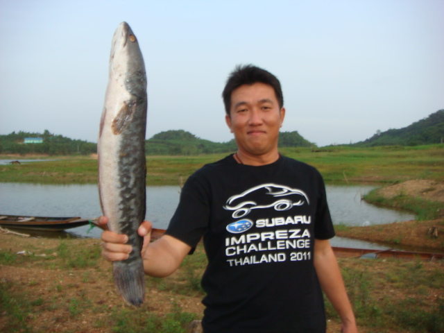 ดูน้าไก่ทำ ถังสั้นไปไม่พอใส่ตัวนี้ แข็งโด่เลย :laughing: :laughing: :laughing: