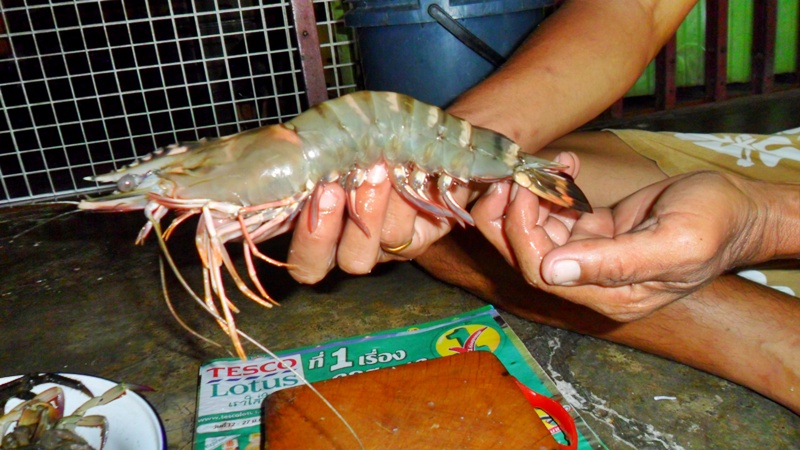 แต่ยังไม่เสร็จจร้ามี กู้ง ตัวใหญ่อีกตังหนึ่งไงหละ...ลืมได้ไงเนี้ย... :grin: