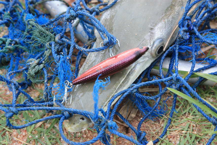 sinking shad คาปาก :grin: