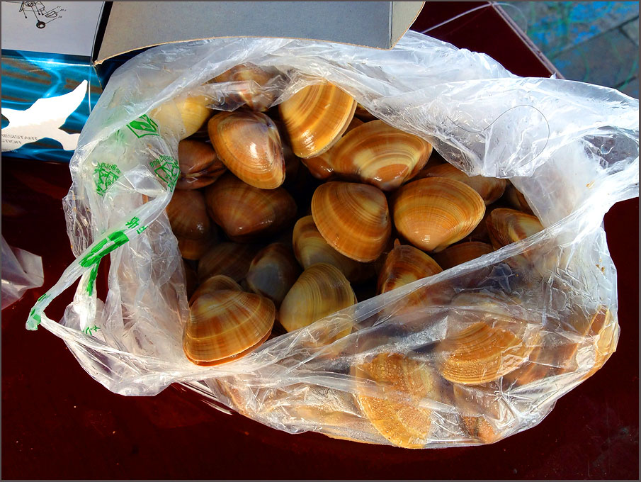  [b]ส่วนเหยื่อ วันนี้เราเอามาสองแบบครับ แบบแรก หอยสด ครับ แหวก หมอกมาแล้ว แหวกสาหร่าย แล้วก้มาแหวกหอ