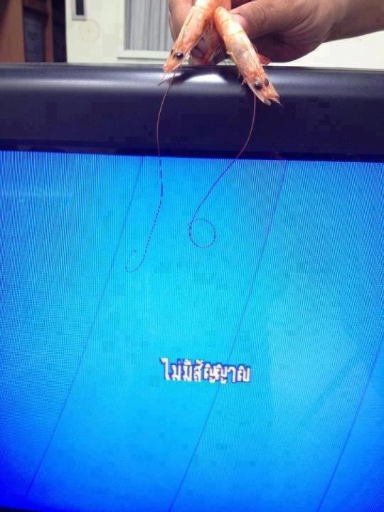 ดูภาพแล้วอย่ายิ้มจนคนข้างๆมองล่ะค่ะ :laughing: :laughing: :laughing: :laughing: :laughing: