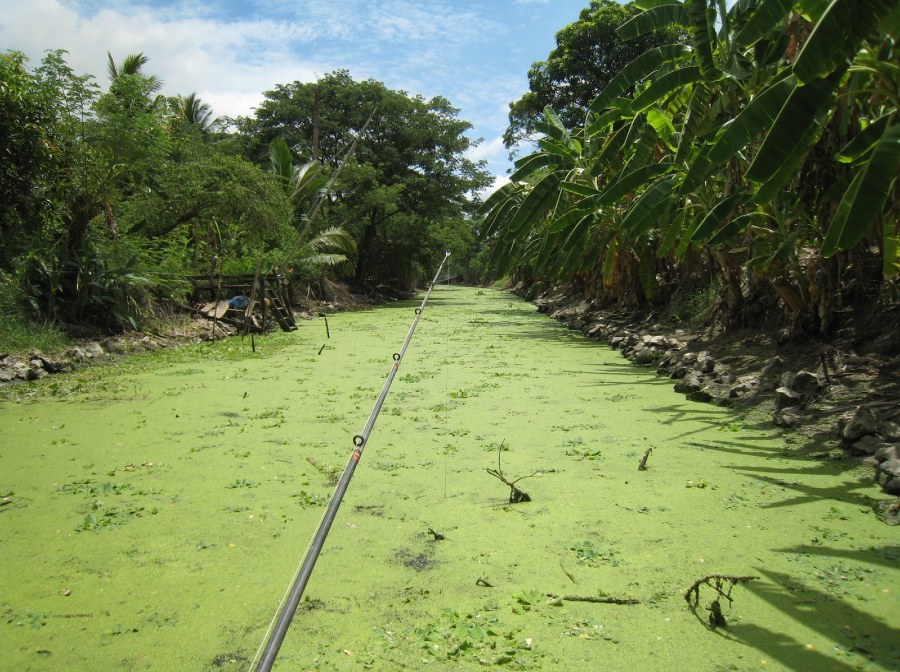 ...ลากเรือก็เหนื่อย...พายเรือก็เมื่อย...เเต่คุ้ม...