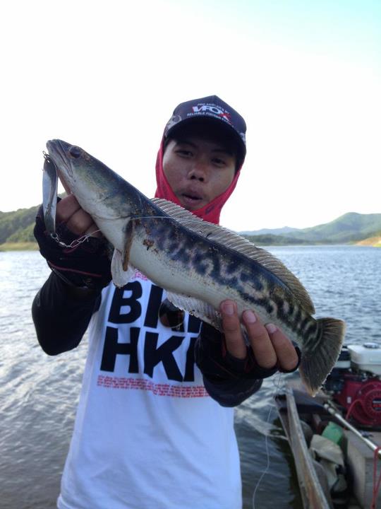 โอ้วไม่น่า.....เป็นไปมิได้.....ไอ้ป๊อกอีกแล้วหรอ จะกลับอยู่และยังวิ่งมากัดเราอีก  :laughing: :laughi