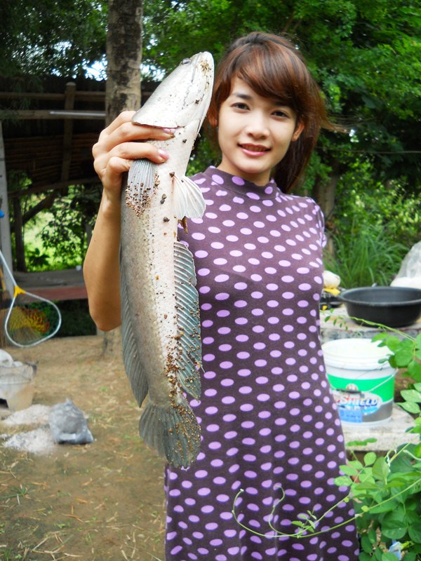 อิอิ เรียบร้อย  :laughing: :laughing: :laughing: :laughing: