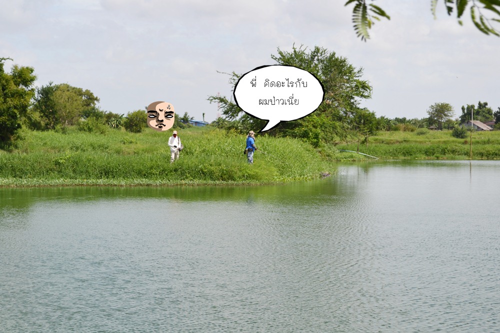 อ่าว  ไปเป็น คู่เลยนะเพ่  :laughing: :laughing: :laughing:
